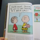 Bild 8 von 12