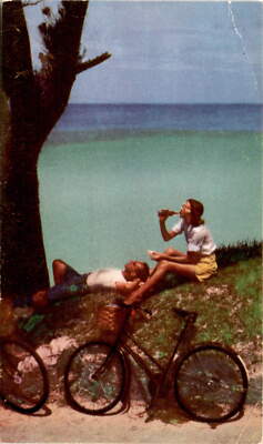 FLATTS, BERMUDA, Flatts Village, Flatts Harbour, North Shore, Hamilton Postcard
