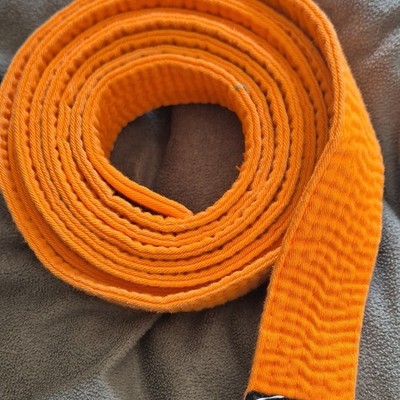 Ippon Gear Ju Jutsu Gürtel Baumwolle Orange 280 cm Farbiger Gürtel