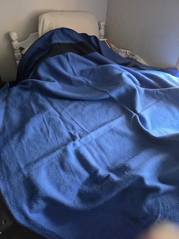 Ll Bean Wool Blanket