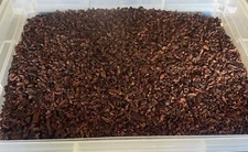 cacao nibs 4 Pounds