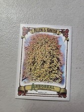 Holly 2021 Topps Allen Ginter Arboreal Appreciation #AA-13 NM Free Shipping