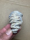 Picture 10 of 21
