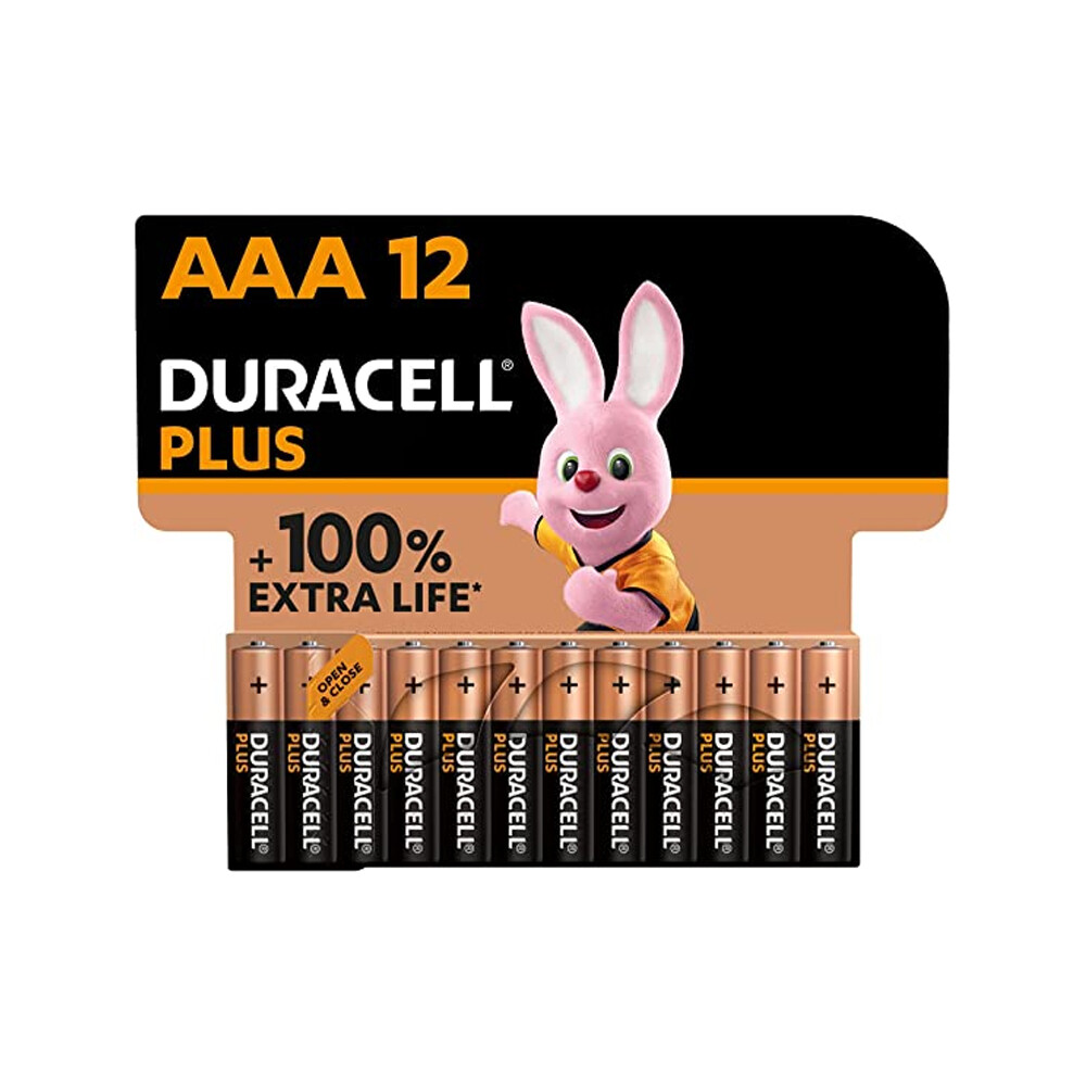 Blister 12 batterie pile alcaline Duracell PLUS Power100 Ministilo AA MN2400 LR0