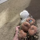 Picture 6 of 6