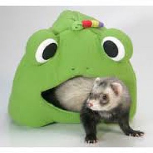 ferret tent