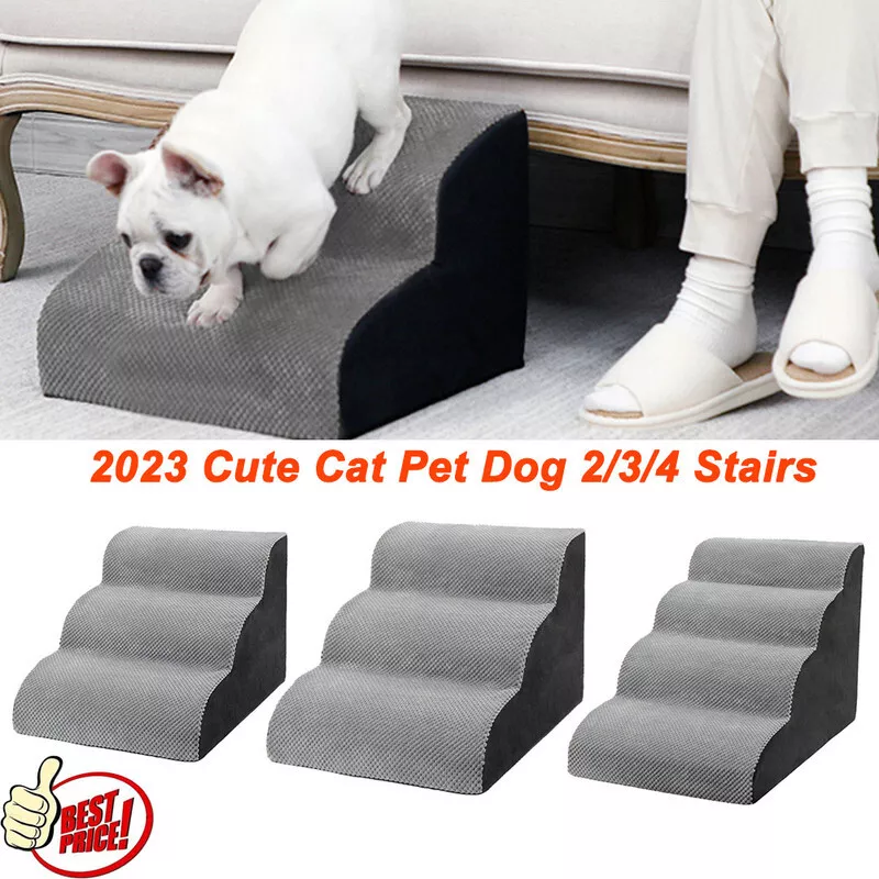 Cute dog stairs top
