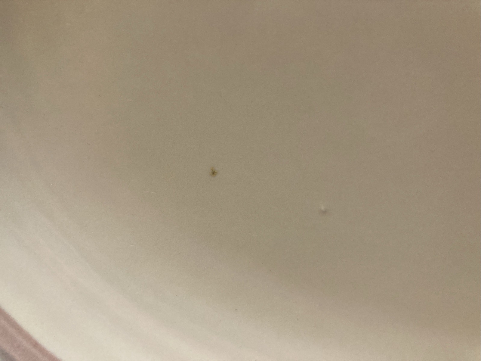 Picture 3 of 11