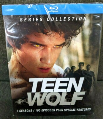 輸入盤日本未発売　Teen Wolf ティーンウルフ DVD BOX 輸入盤日本未発売 Teen Wolf ティーンウルフ DVD BOX