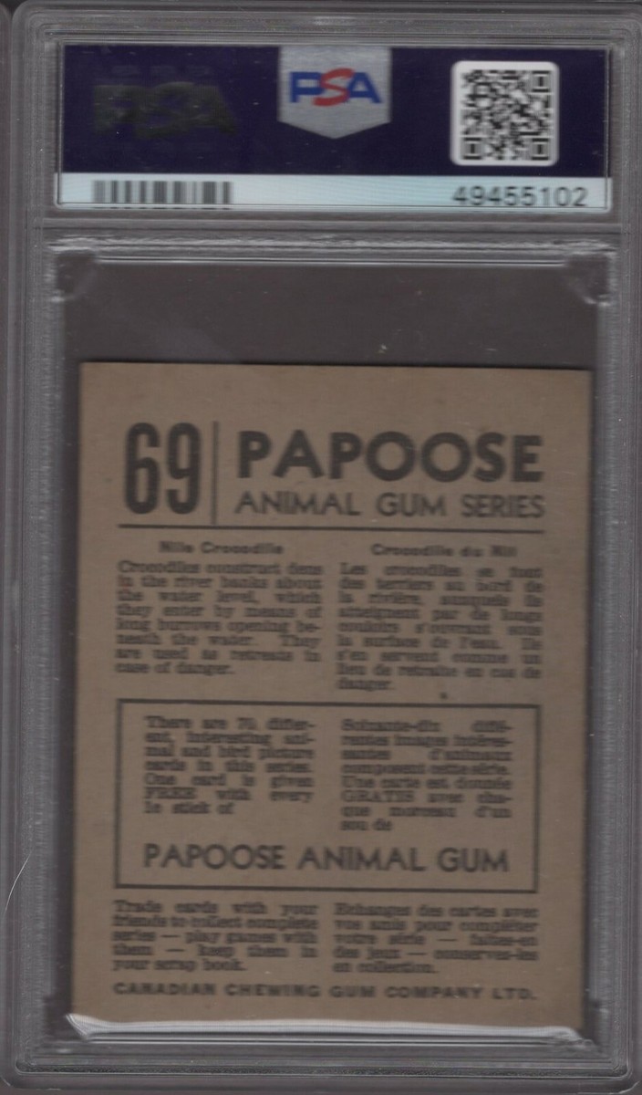 1935 V255 Papoose Animal Gum #69 Nile Crocodile Graded PSA 5 | eBay