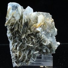 Aigue Marine sur Muscovite - Gilgit - Shigar Valley - Pakistan - 7 x 6 cm