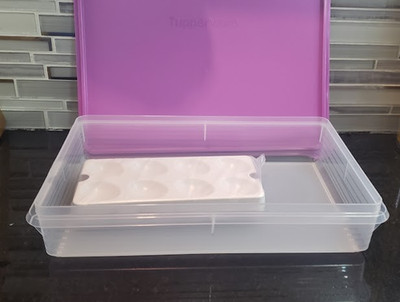 Tupperware Snack n Stor 13x9 Container with 3 Egg Insert tray cupcake cookie NEW