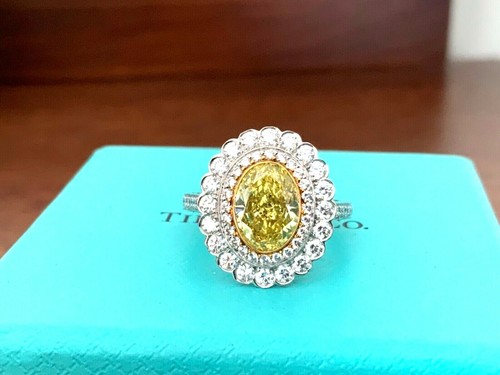 Tiffany \u0026 Co Fancy VIVID Yellow Diamond 