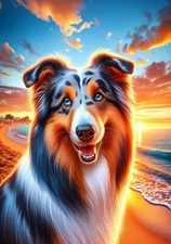 Collie Blue Merle Summer Sunset Flag