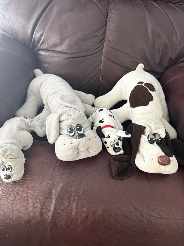 Lot of 4 Pound Puppies.