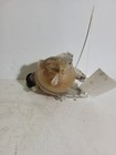 Bild 3 von 8