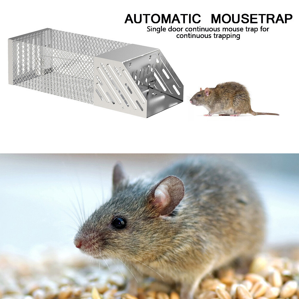 Automatic Rat Trap Mouse Traps Bait Cage Humane Live Rodent Animals Mice  Catcher | eBay UK
