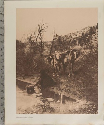 Edward S. Curtis ''Getting Water - Apache'' Photogravure Art Print Sepia Vintage