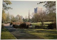 Town Centre Gardens Showing Bridge And Tower Block. RPPC By Judges