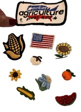 Lot of 10 Embroidered Patches Sew On Applique Ag Movement Farm Crops USA Flag