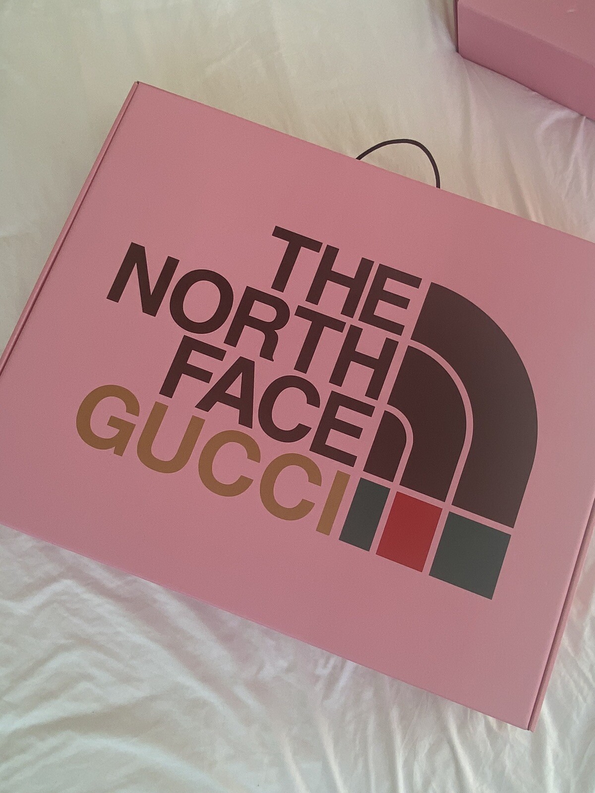 GUCCI x the North Face - PUFF VEST | SOLD OUT image 6