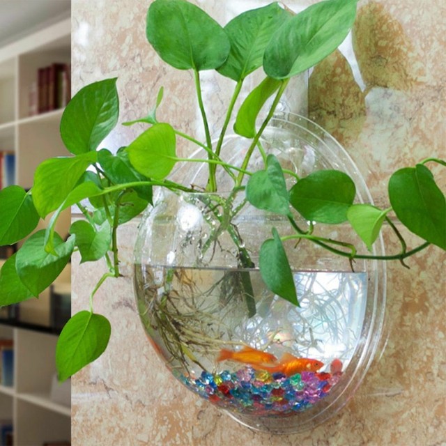Acrylic Fish Bowl Wall Hanging Aquarium Tank Aquatic Pet Accessories Wall Mount EBay