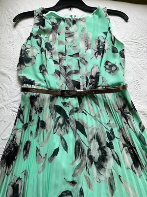 Eliza J Floral Maxi Dress Mint Green 4P