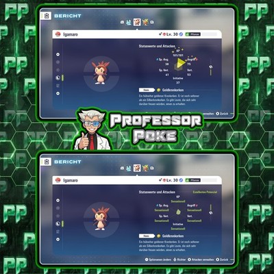   Shiny Igamaro 6IV/DV Elite | MAX EV | Legenden ZA