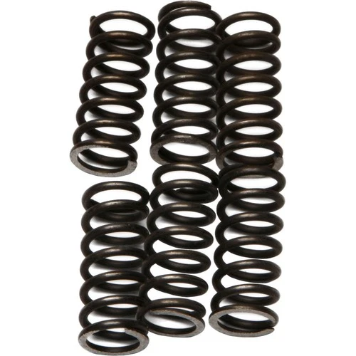 1983 Yamaha XVZ12 Venture Royale Motorcycle EBC CSK Clutch Spring Upgrade