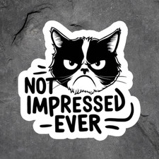Cat Sticker Vinyl Decal Not Impressed Ever Grumpy Kitty Funny Sarcasm Meme