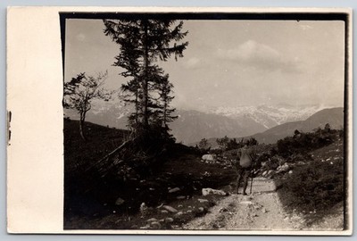 RPPC Postcard Alpine Hiker Mountain Trail Walking Stick Snow Peaks Scenic