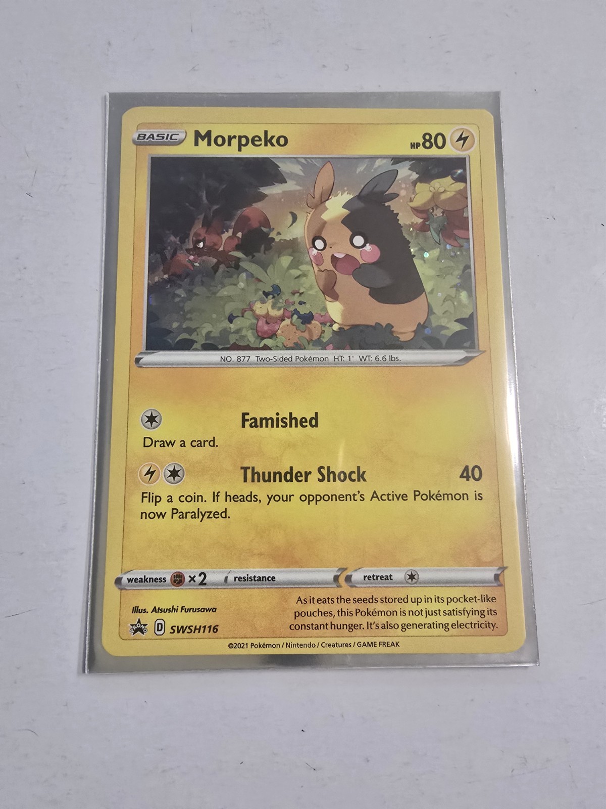 Morpeko SWSH116 Sword & Shield Black Star Promo Pokemon Card - NM