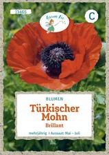 Türkischer Mohn Brillant Samen von Grüne Fee