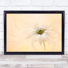 Melody Flower Bloom Petals Close Up L Freshness Flow Floaty petals Art Print