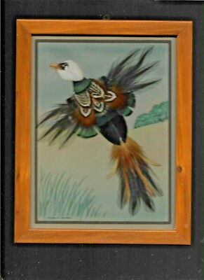 Vintage USA Hand Made Feather Picture and Frame - Ring Neck Pheasant 