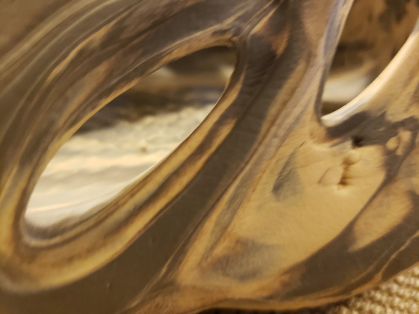 Yeezy Adidas Foamrnnr MXT 6us Made In UsA Yeezy. Moon Grey. thumbnail 8