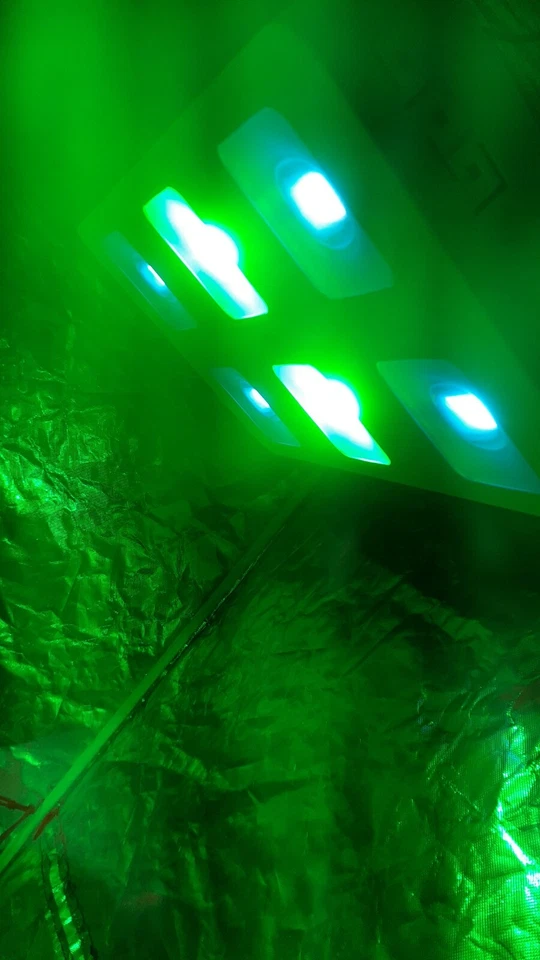 Lunette de protection ,Beylsion culture indoor, contre les lumières, .HPS-LEDS e - Photo 2/4