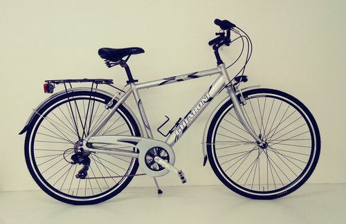 BICI CITY BIKE Bicicletta UOMO 28\