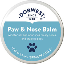 Dorwest Herbs Dog Paw & Nose Balm. Lick-Safe 50Ml