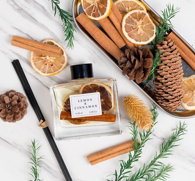 Home Fragrance Lufterfrischer Schilfdiffusor 50/100ml Aromatisches Parfüm Duft Set