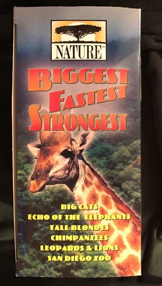 その他 Nature: Biggest Fastest Strongest [DVD] Nature: Biggest Fastest Strongest [DVD] 【公式通販】