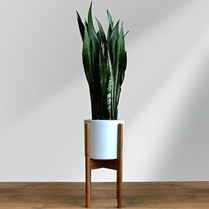 Easy Embly Tall Plant Stand Midcentury Flower Mid Century Tall Plant Stand Midcentury Flower