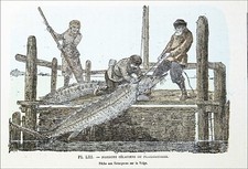 RUSSIE - PÊCHE des ESTURGEONS (CAVIAR) sur la VOLGA au 19e -Gravure couleur 19e