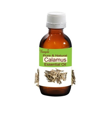 Kalmus ätherisches Öl Acorus Calamus reines natürliches Aromatherapieöl...