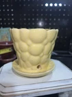 VTG  Possible McCoy Pebble Design Planter with Attached Saucer Drain Hole 3.5”