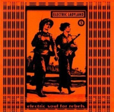 Electric Ladyland 5-Electric Soul for Rebels (1998) - CD - Panacea, DJ Spooky...