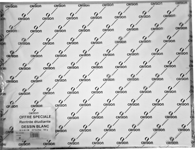 Canson Dessin Zeichenpapier Packung mit 25 Bogen 50 x 65 cm 160 g