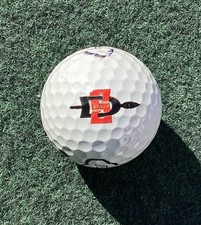 SAN DIEGO STATE UNIVERSITY 