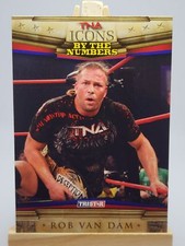 Rob Van Dam 2010 TriStar TNA Icons #76