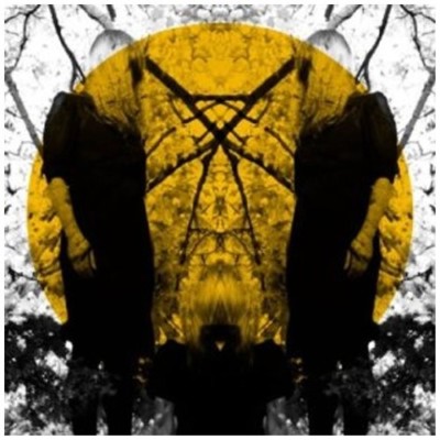 AUSTRA - FEEL IT BREAK  CD NEU 